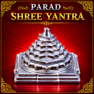 Parad Shree Yantra